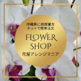 胡蝶蘭の育て方