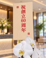 開店祝いの胡蝶蘭、立札は何て書く？沖縄の花屋が教える文例・本数・選び方