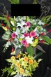 画像1: スタンド花　季節のお花お任せ　２段【予算20000円】 (1)