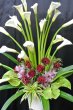 画像2: スタンド花　カラー　1段　【予算　20000円】 (2)