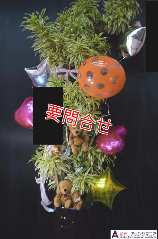 画像2: 観葉植物 バルーンデコレーションギフト｜開店祝い・開院祝い 沖縄配達【44000円】 (2)