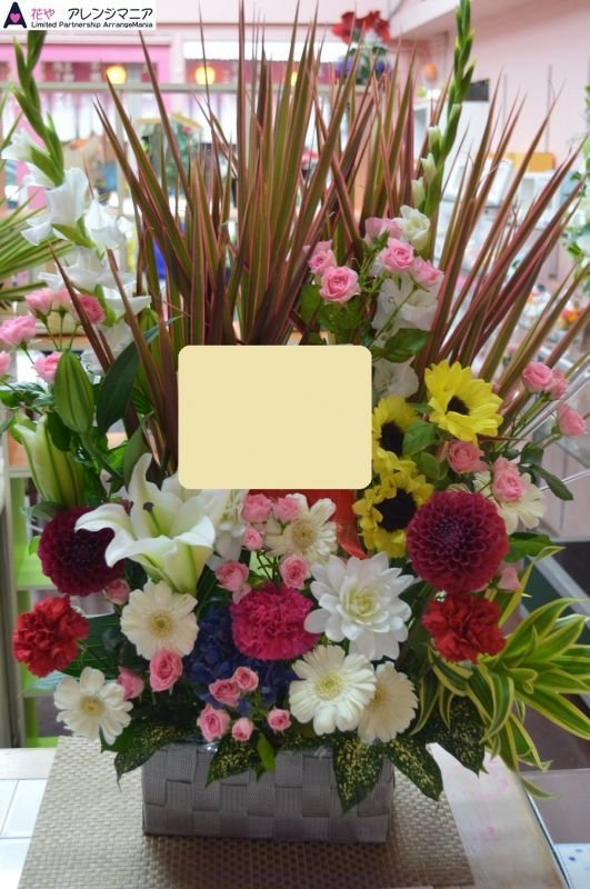 画像1: 花お任せ　アレンジ【予算10000円】 (1)