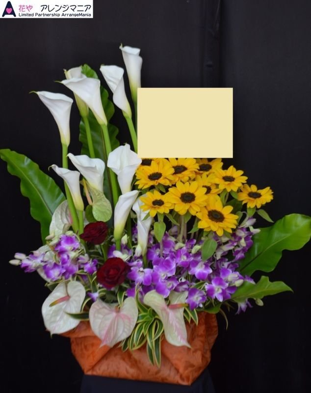 画像1: 花お任せ　南国風　アレンジ【予算15000円】 (1)
