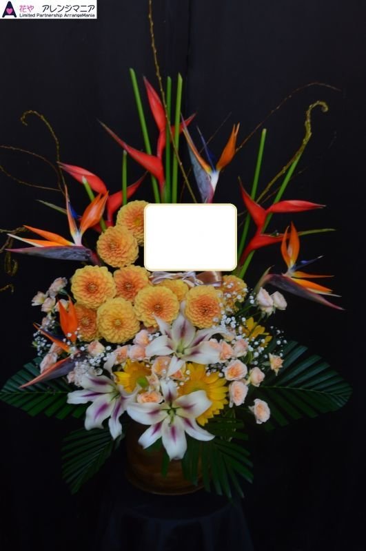 画像1: 季節のアレンジ【予算15000円】 (1)