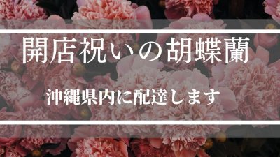 画像1: 沖縄の移転祝い胡蝶蘭 10本立ち白大輪|法人花配達・110,000円