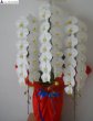 画像4: 開店祝いの胡蝶蘭 予算で選ぶお任せ｜沖縄の花屋アレンジマニア (4)
