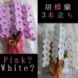 画像1: 【予算で選ぶ】胡蝶蘭 沖縄県産品 色お任せ【予算30,000円】 (1)