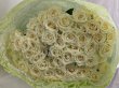 画像6: 沖縄 プロポーズ 白バラ60本の花束｜ホテル配達・サプライズ対応 (6)