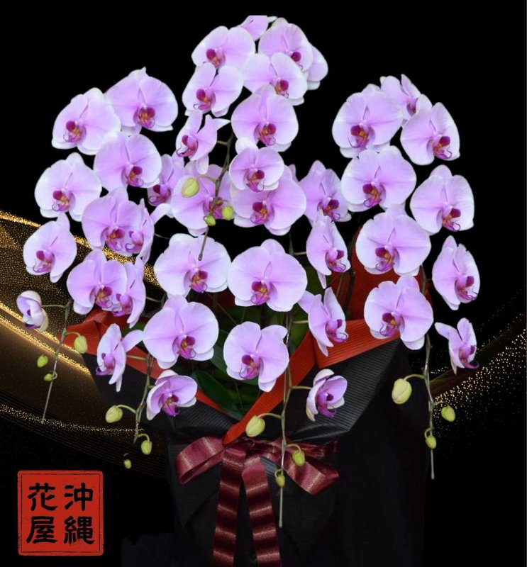 画像1: 沖縄で還暦祝いの胡蝶蘭　沖縄県産品　5本立ち　ピンク系 (1)