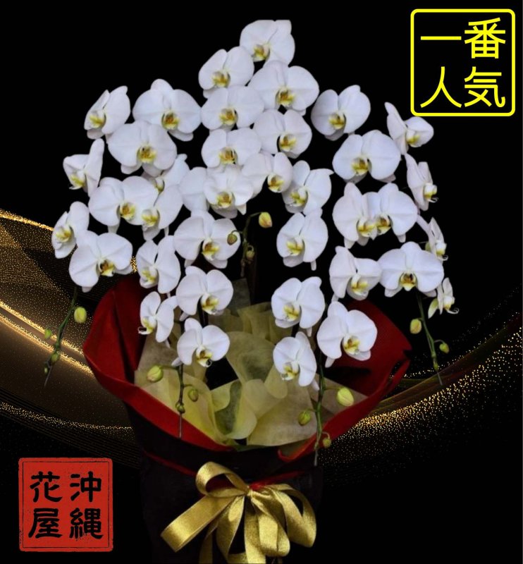 画像4: 沖縄 開店祝い 胡蝶蘭5本立ち大輪白｜配達無料・写真送付 (4)