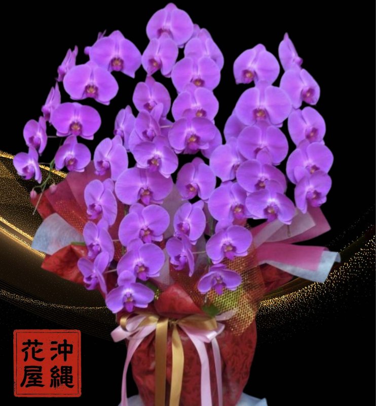 画像1: 開院祝いの胡蝶蘭 沖縄県産品 5本立ち お任せピンク 50000円 (1)