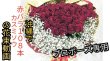 画像4: 沖縄プロポーズ専門｜赤バラ108本とかすみ草・永遠の愛・ホテル配達 (4)