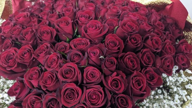 画像5: 赤バラ108本とカスミソウの花束│沖縄でプロポーズ｜ホテル配達対応 (5)