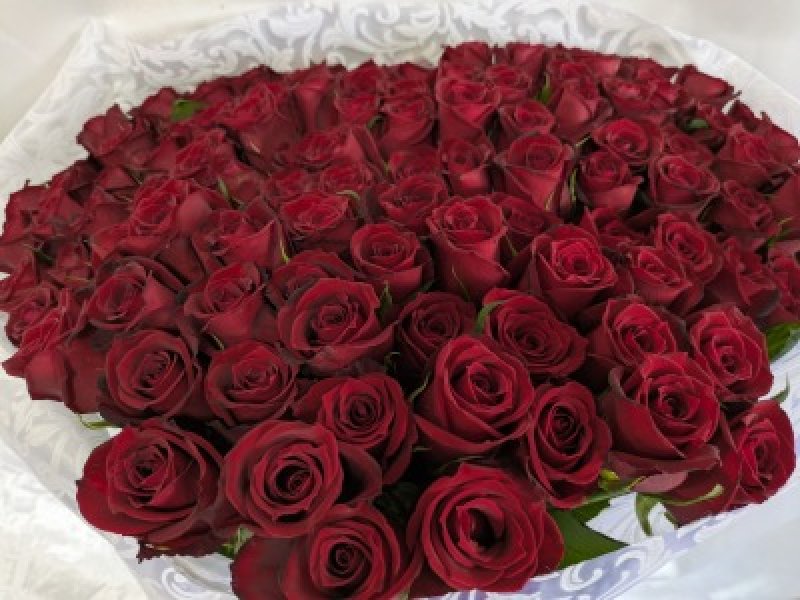 画像8: 赤バラ108本の花束　プロポーズ専用｜沖縄ホテル配達対応 (8)