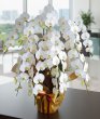 画像1: 開店祝いの胡蝶蘭10本立ち大輪白 沖縄県産品110,000円 (1)