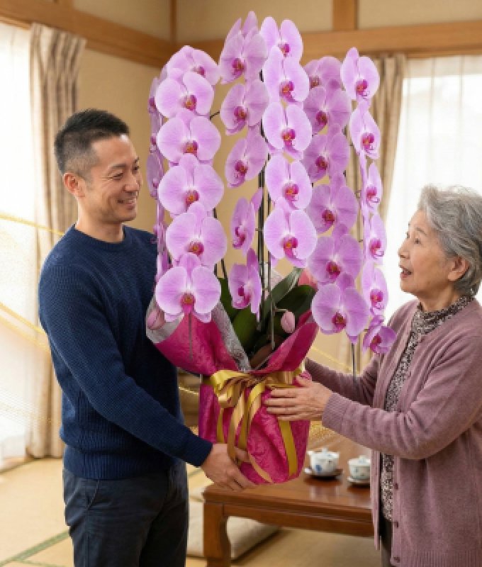 画像1: 沖縄の長寿祝いの胡蝶蘭 3本立ち お任せピンク｜沖縄配達 (1)