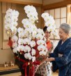 画像3: 沖縄の長寿祝い胡蝶蘭6本立ち 大輪白｜沖縄配達対応 (3)