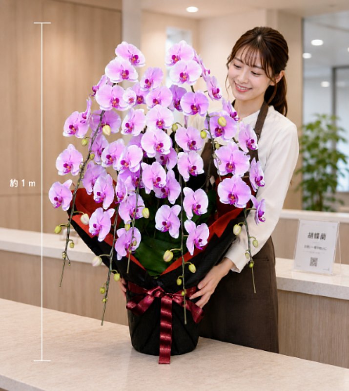 画像1: 胡蝶蘭　7本立ち 大輪ピンク沖縄県産品　予算70000円 (1)