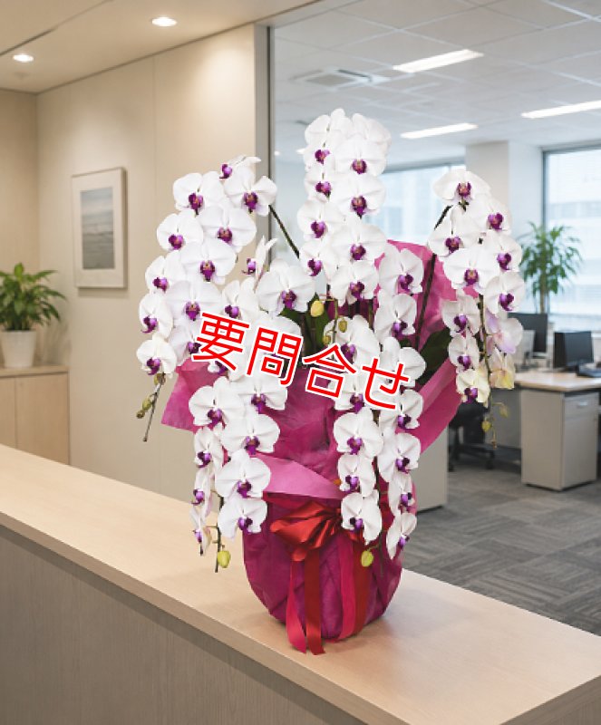 画像1: 沖縄 就任祝い｜ピンクリップ胡蝶蘭5本立ち 66,000円 (1)