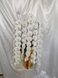 画像2: 沖縄県産胡蝶蘭　しだれ胡蝶蘭3本立ち (2)