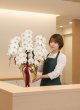 画像3: 【沖縄配送・法人インボイス対応】胡蝶蘭 5本立ち 大輪 白｜開店祝い・就任祝いに贈るお祝いギフト (3)