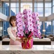 画像2: 沖縄 就任祝いに贈る女性向け胡蝶蘭3本立ちピンク (2)