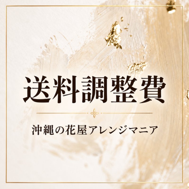 画像1: 送料調整費（1） 1,650円｜沖縄本島内の追加配達料金 (1)