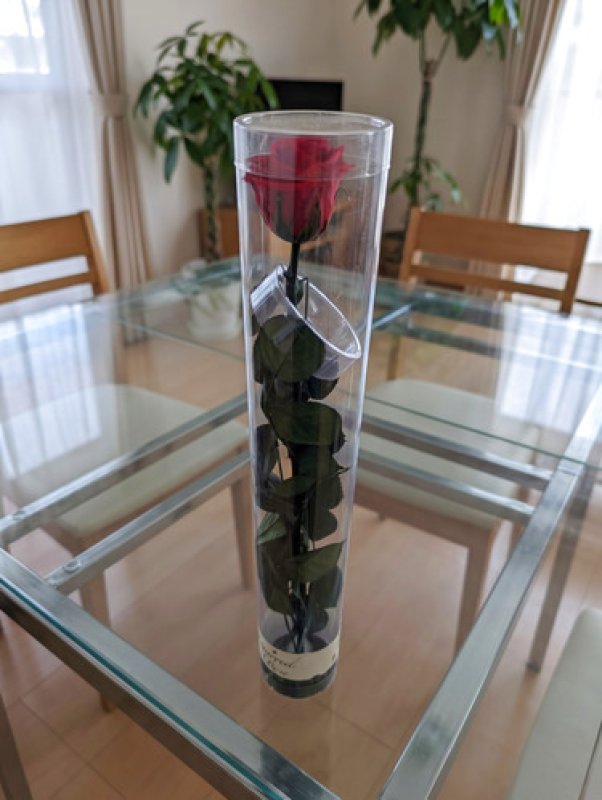 画像5: 沖縄 プロポーズ 赤バラ108本の花束｜ホテル配達・サプライズ対応 (5)